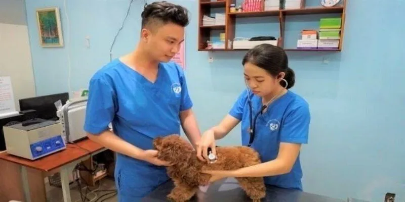 Lý giải vì sao khám định kỳ là quan trọng?