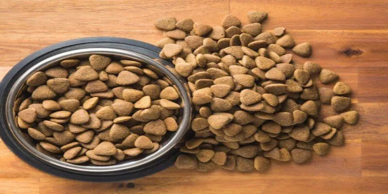 Sự quan trọng của thực phẩm bổ sung cho thú cưng