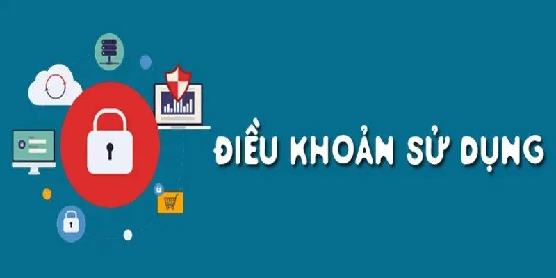 Thông tin hiểu rõ về điều khoản sử dụng